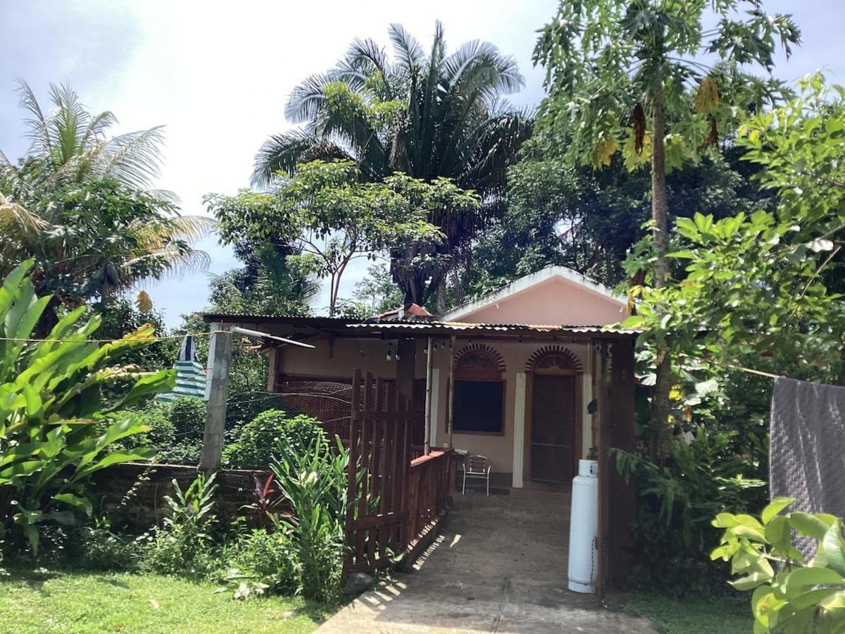 Exotic Flower Cabin2 Pool Agua Bendita Экстерьер фото